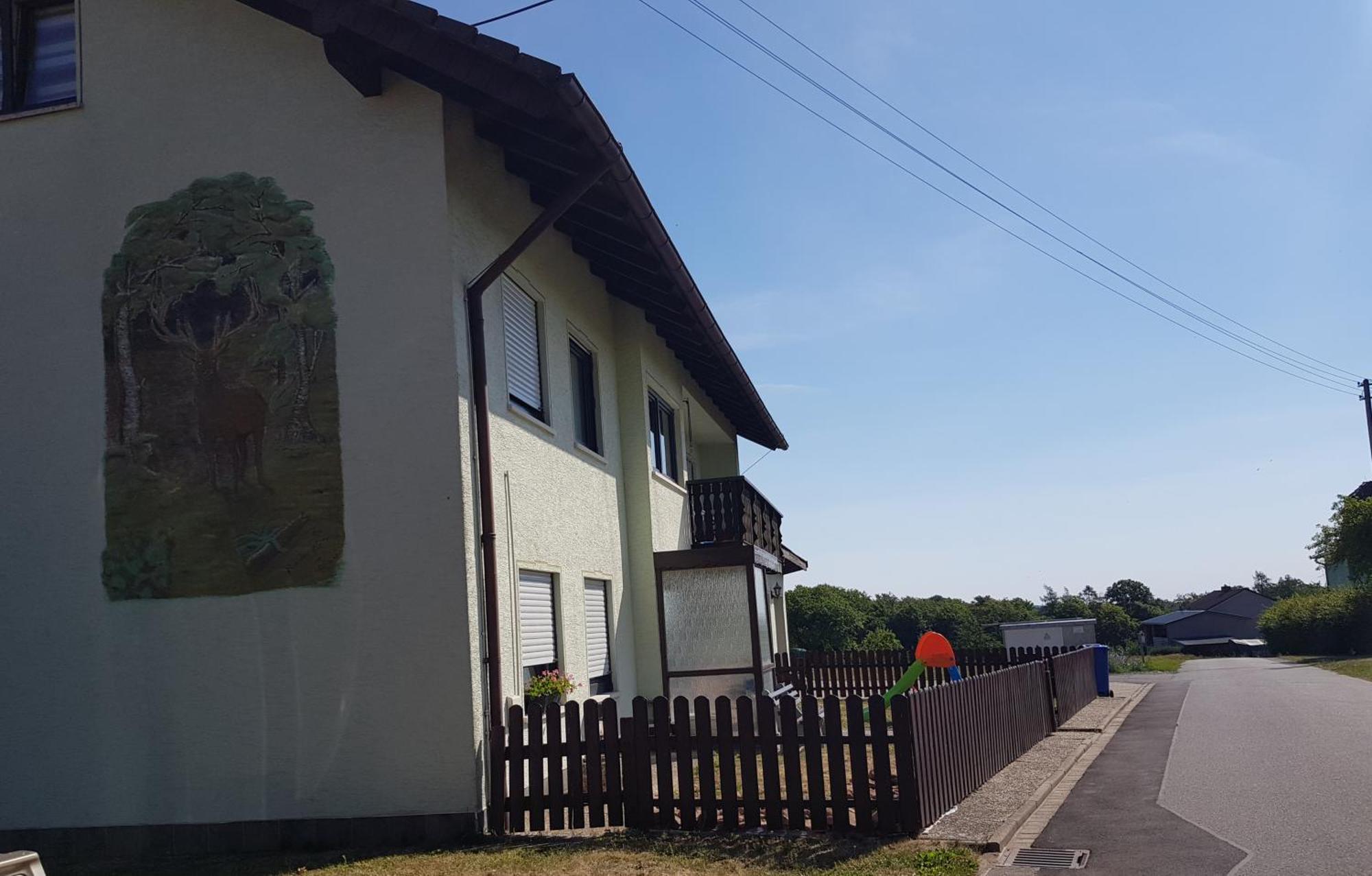 Geishoehe Landgasthof Rose Dammbach Номер фото